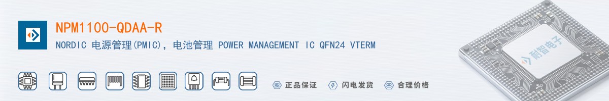 NPM1100-QDAA-R������