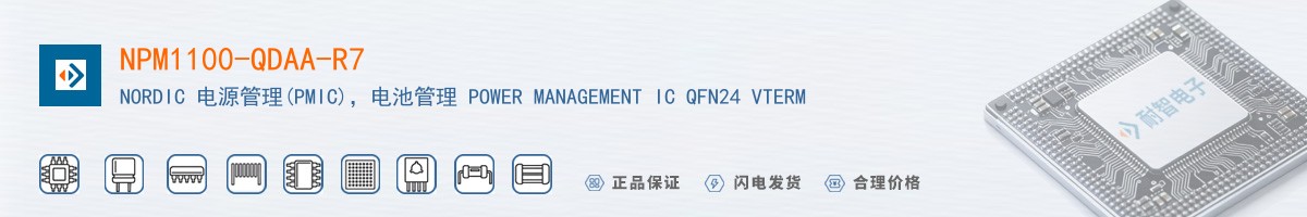 NPM1100-QDAA-R7������